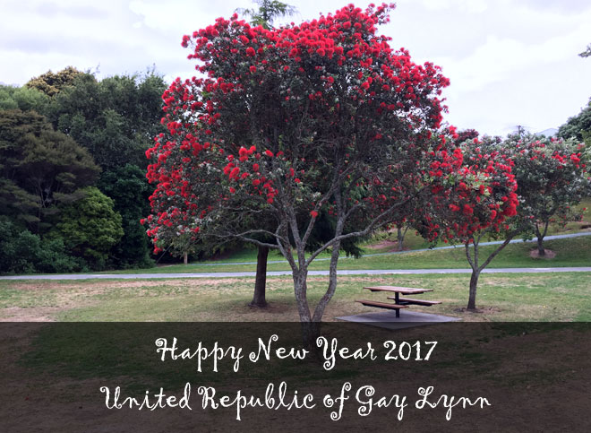 Happy New Year 2017 United Republic of Gay Lynn