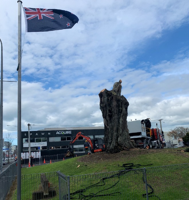 NZ Defence Force / Army tree