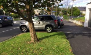 Residents ticketed for parking in entrance to own driveways