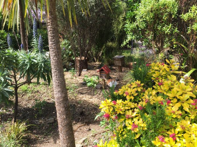 Hakanoa Reserve bee garden